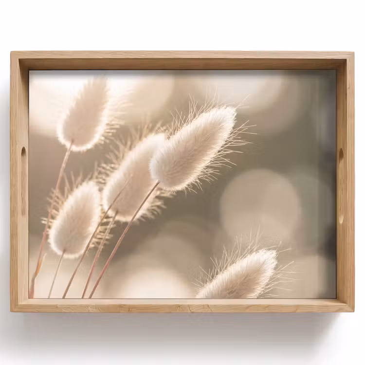Bandeja - Hazetail grass - Blanco - Luz solar — 1