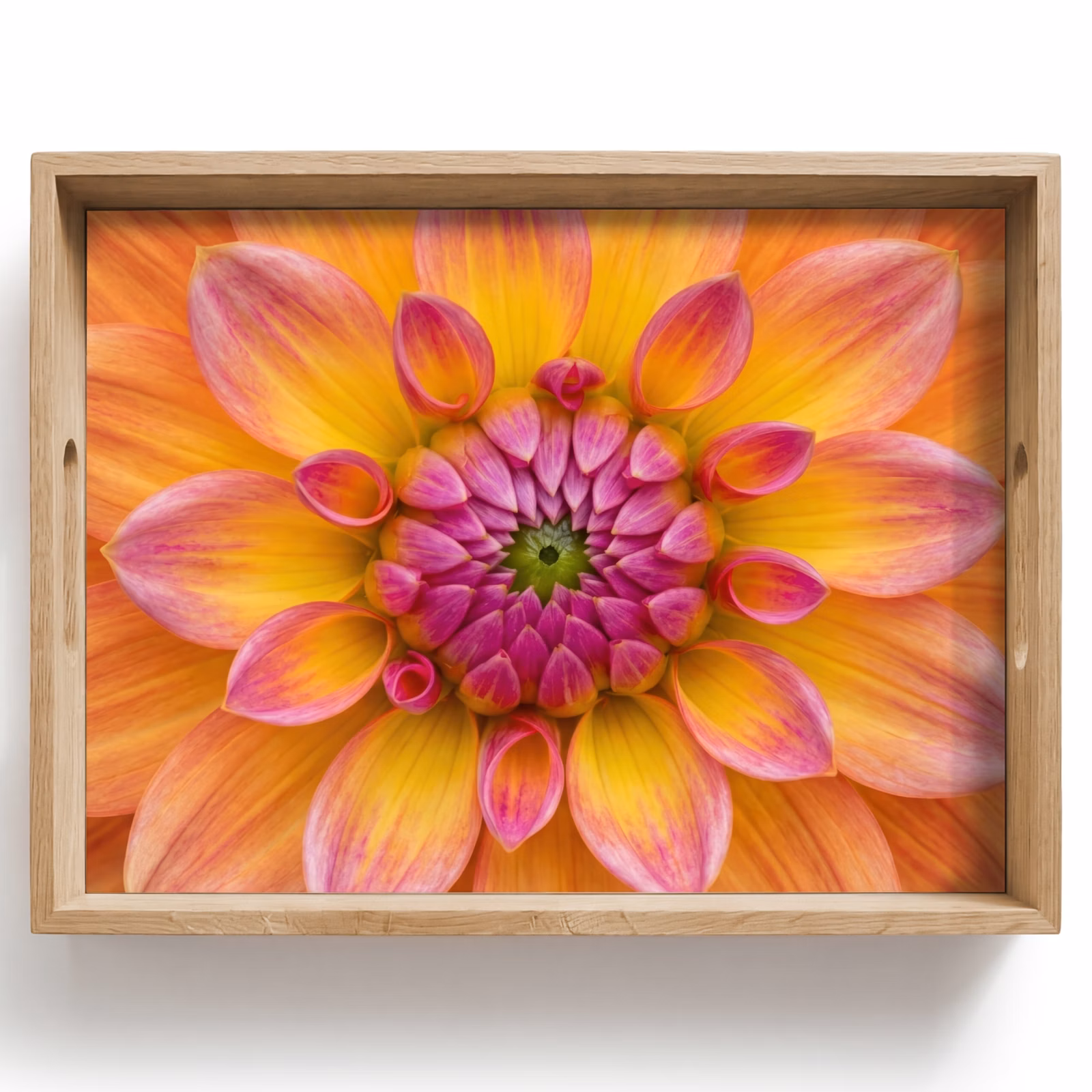 Bandeja - Dalia - Flor - Naranja — 1