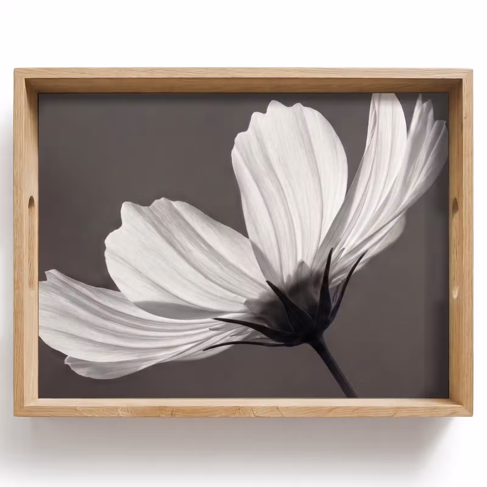 Bandeja - Flor - Minimalista - Negro - Blanco — 1