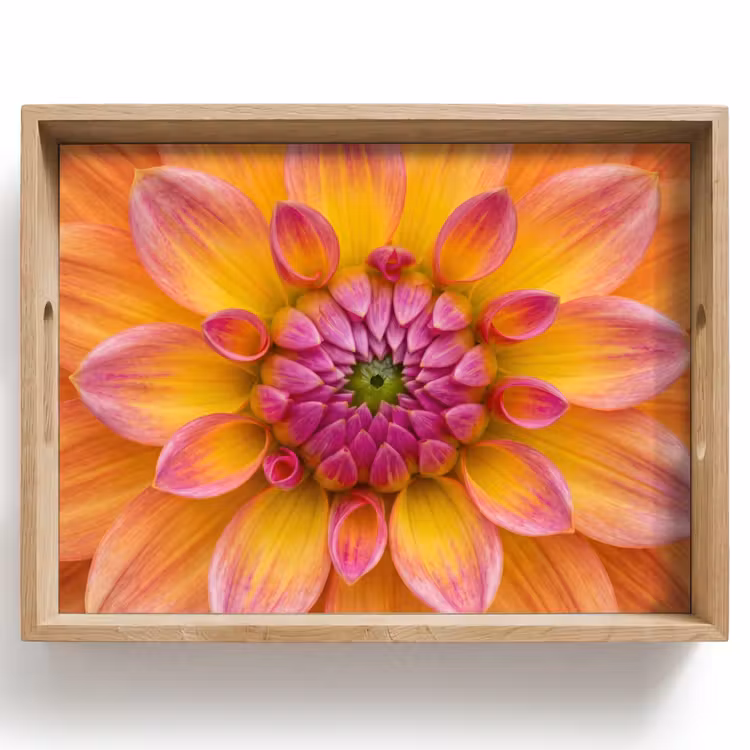 Bandeja - Dalia - Flor - Naranja — 1