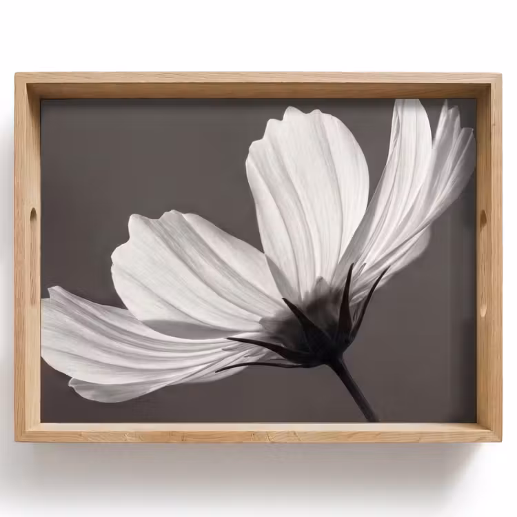 Bandeja - Flor - Minimalista - Negro - Blanco — 1