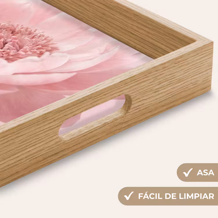 Bandeja - Flor - Peonía - Rosa — 8