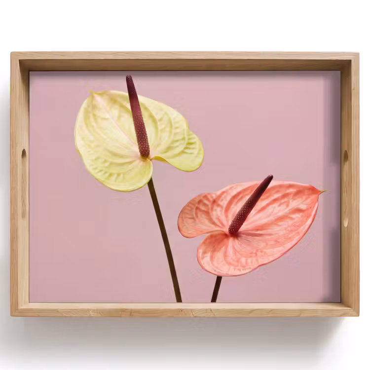 Bandeja - Flores - Anturios - Amarillo - Rosa — 1