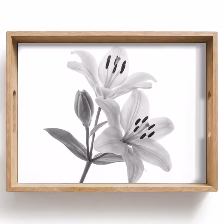Bandeja - Lirios - Elegante - Negro - Blanco — 1