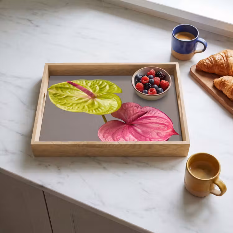 Bandeja - Plantas - Anthurium - Verde - Rosa — 3