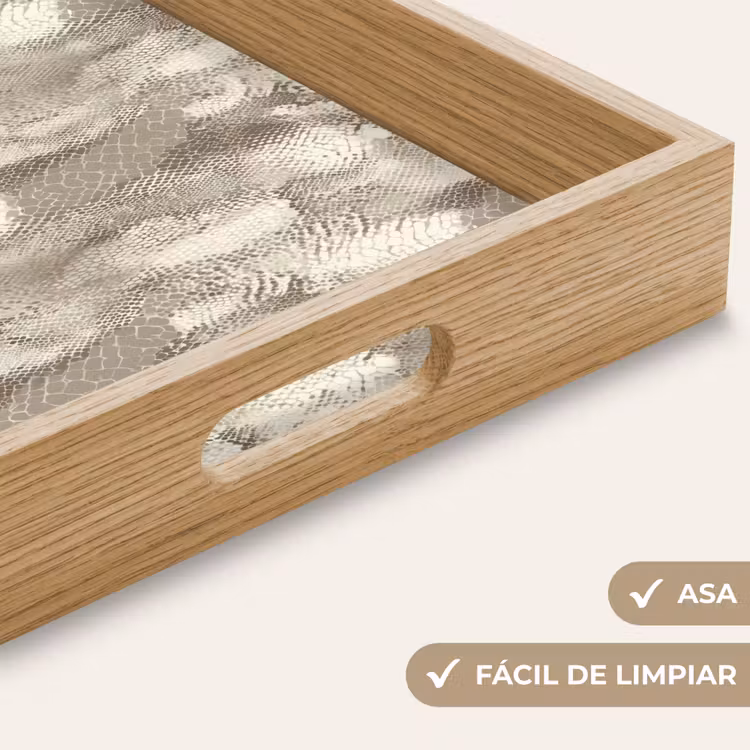 Bandeja - Serpiente - Textura - Arena — 8