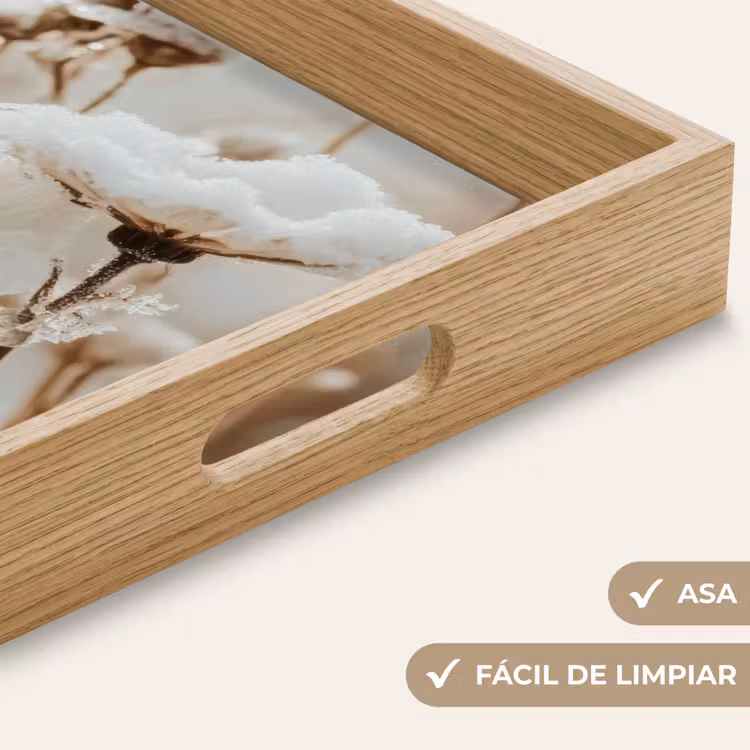 Bandeja - Flores - Invierno - Blanco - Nieve - Beige — 8