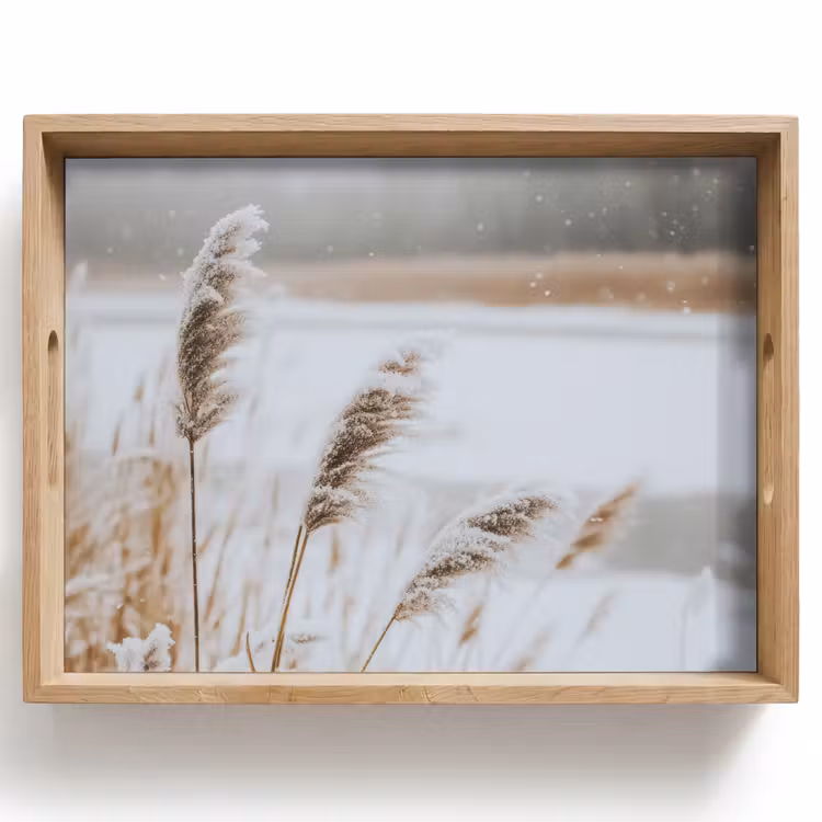 Bandeja - Junco - Lago - Invierno - Naturaleza - Nieve - Beige — 1