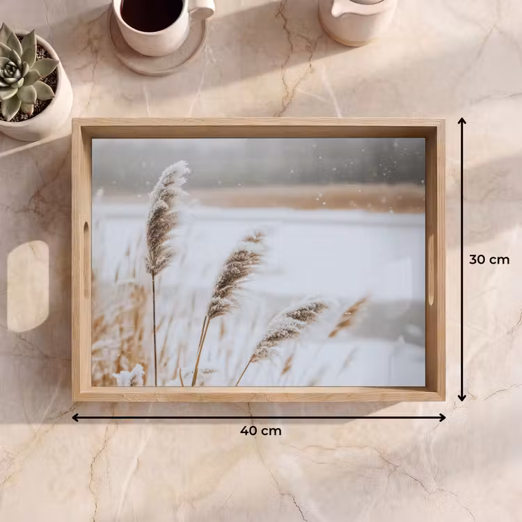 Bandeja - Junco - Lago - Invierno - Naturaleza - Nieve - Beige — 7
