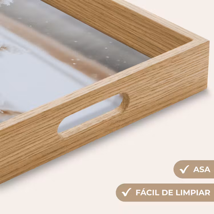 Bandeja - Junco - Lago - Invierno - Naturaleza - Nieve - Beige — 8