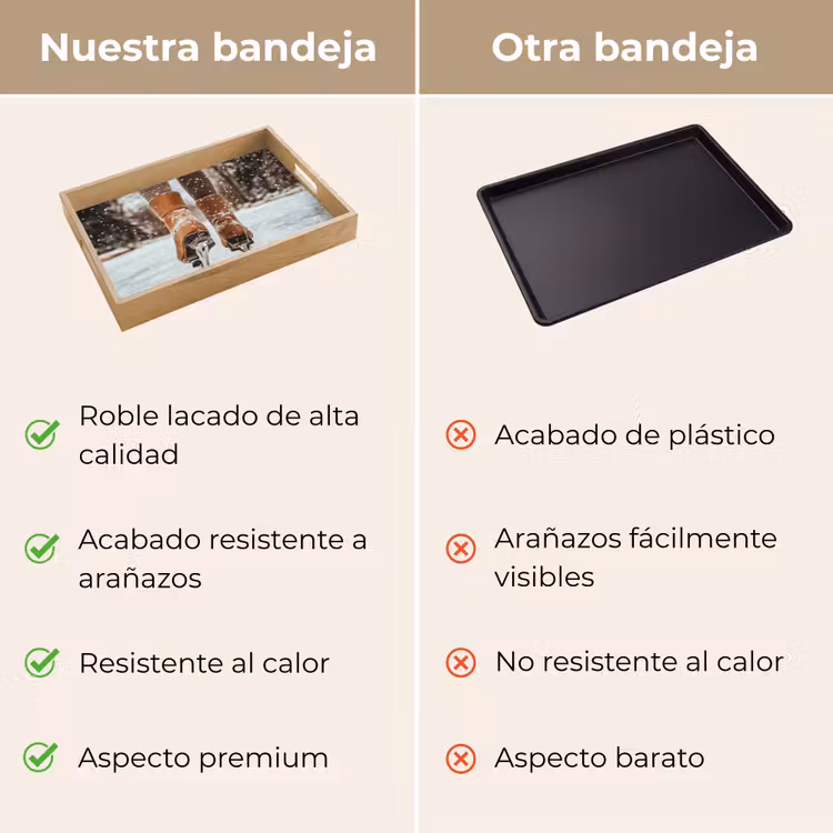 Bandeja - Patinaje sobre hielo - Hielo - Invierno - Nieve — 9