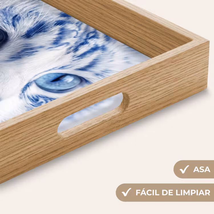 Bandeja - Gato - Patrón - Azul — 8