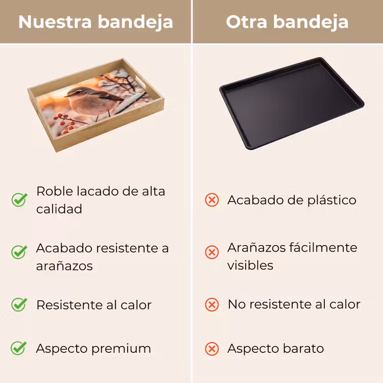 Bandeja - Pájaro - Rama - Invierno - Animales - Nieve — 9