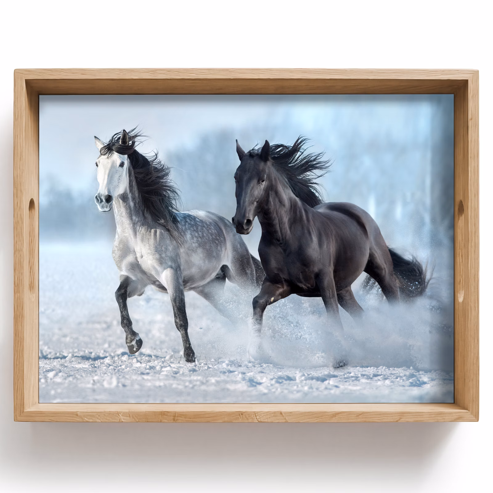 Bandeja - Caballos - Invierno - Animales - Naturaleza - Nieve — 1