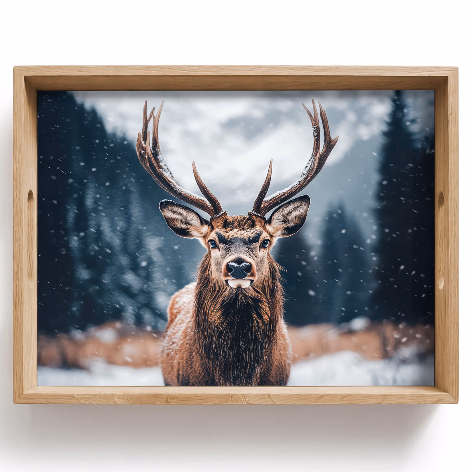 Bandeja - Ciervos - Animales - Paisaje - Invierno - Nieve — 1