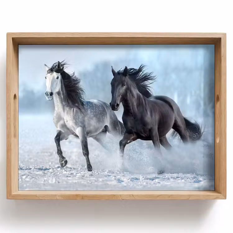 Bandeja - Caballos - Invierno - Animales - Naturaleza - Nieve — 1