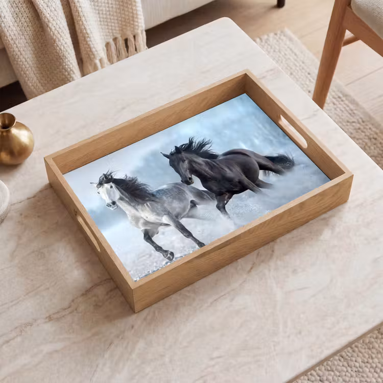 Bandeja - Caballos - Invierno - Animales - Naturaleza - Nieve — 2