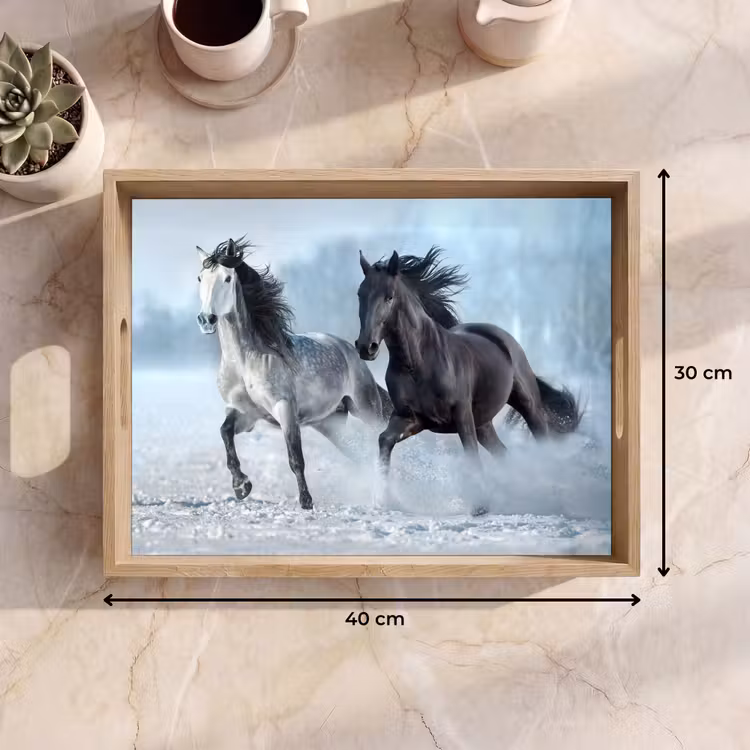 Bandeja - Caballos - Invierno - Animales - Naturaleza - Nieve — 7