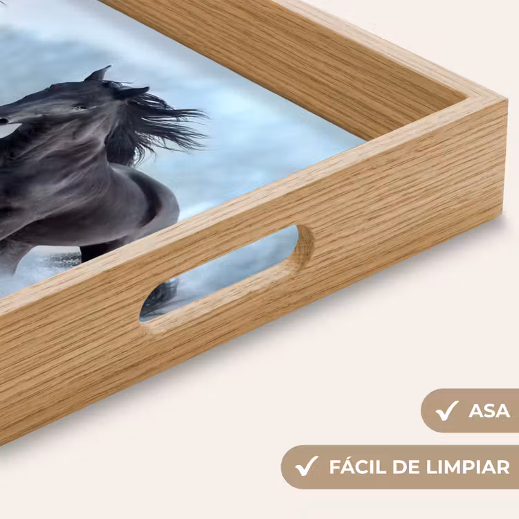 Bandeja - Caballos - Invierno - Animales - Naturaleza - Nieve — 8