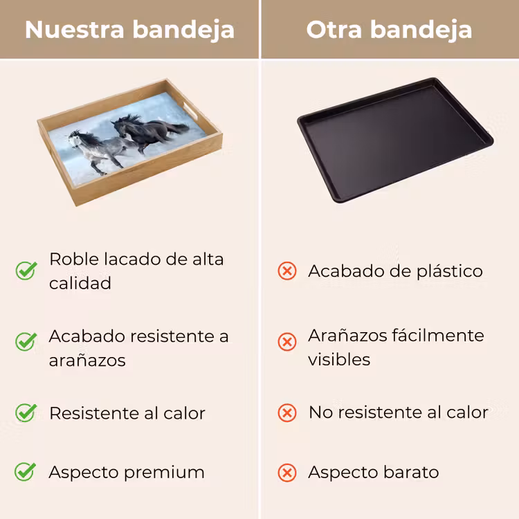 Bandeja - Caballos - Invierno - Animales - Naturaleza - Nieve — 9