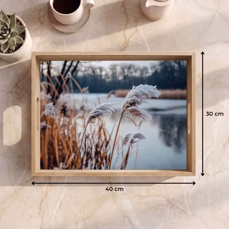 Bandeja - Carrizo - Hierba - Naturaleza - Invierno - Lago — 7