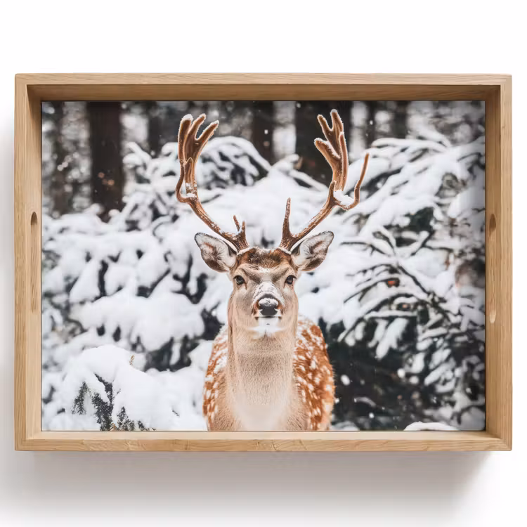 Bandeja - Ciervo - Nieve - Invierno - Bosque - Animales — 1