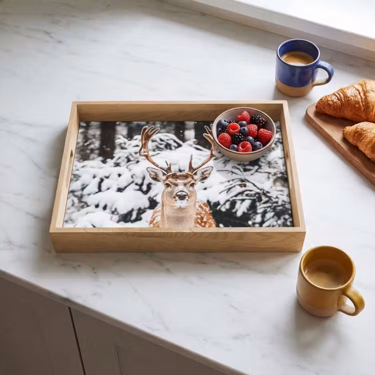 Bandeja - Ciervo - Nieve - Invierno - Bosque - Animales — 3