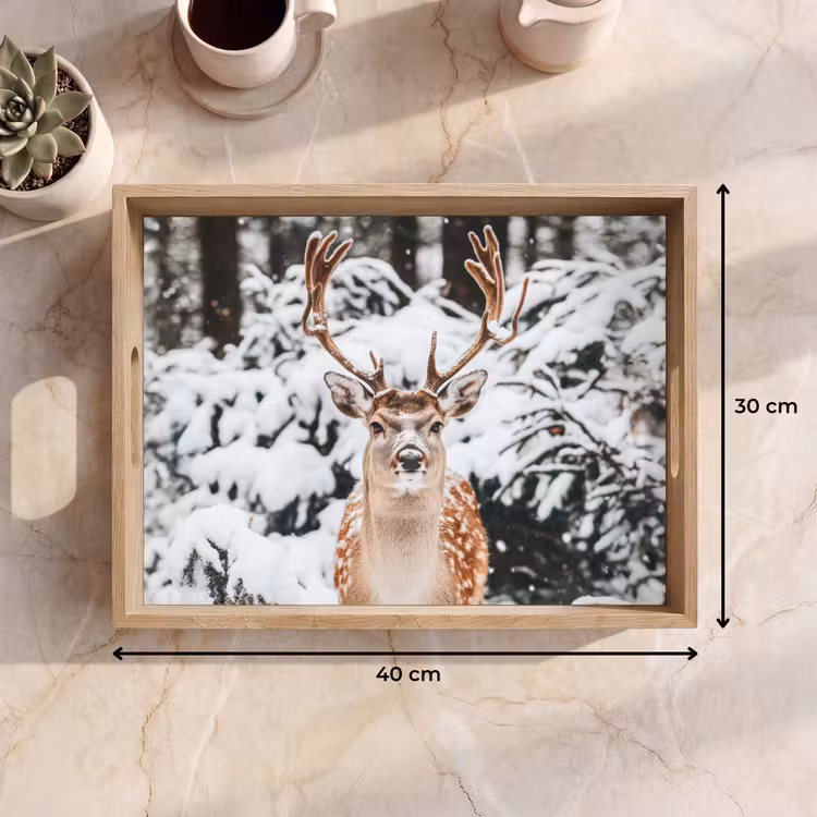 Bandeja - Ciervo - Nieve - Invierno - Bosque - Animales — 7