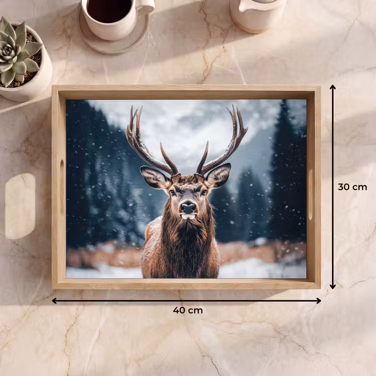 Bandeja - Ciervos - Animales - Paisaje - Invierno - Nieve — 7