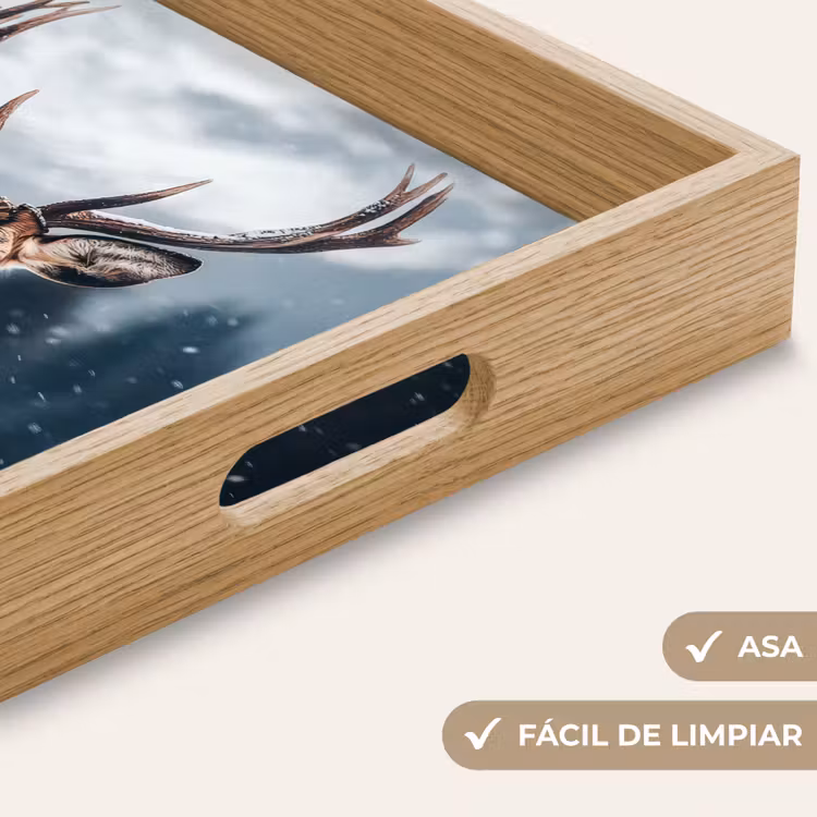 Bandeja - Ciervos - Animales - Paisaje - Invierno - Nieve — 8
