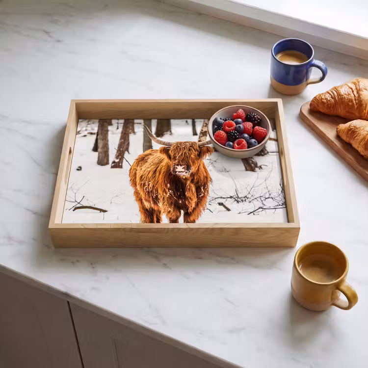 Bandeja - Highlander escocés - Nieve - Invierno - Naturaleza - Animales — 3
