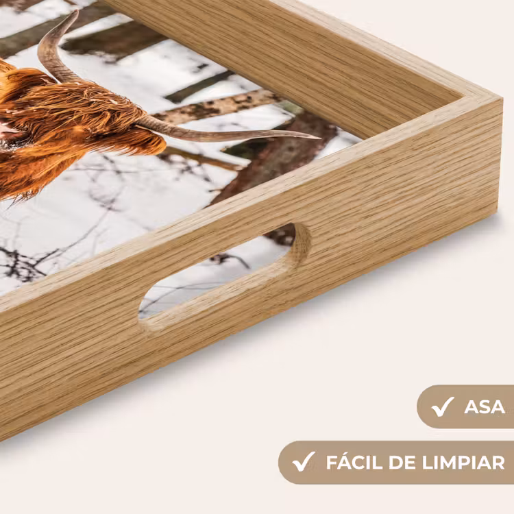Bandeja - Highlander escocés - Nieve - Invierno - Naturaleza - Animales — 8