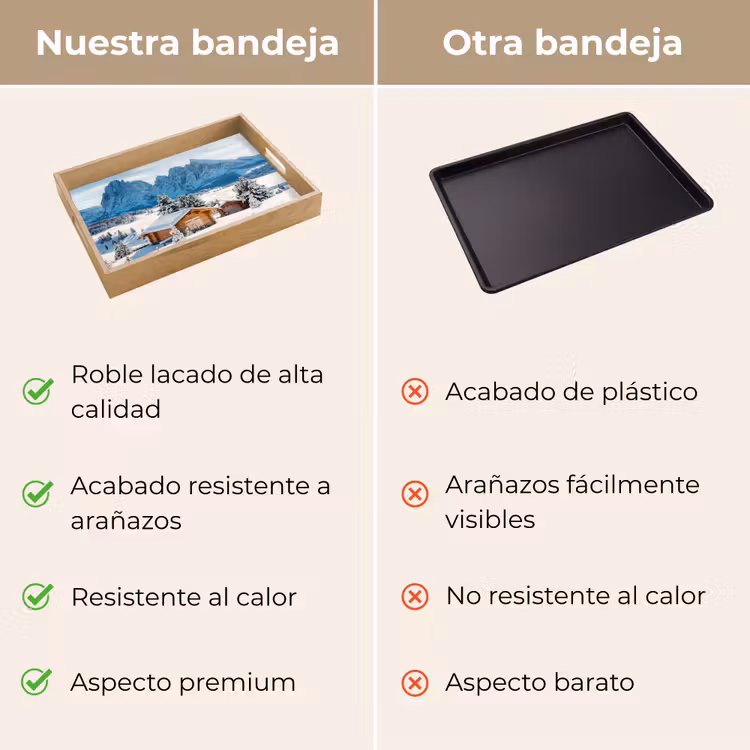 Bandeja - Invierno - Cabaña - Montañas - Vistas - Nieve — 9