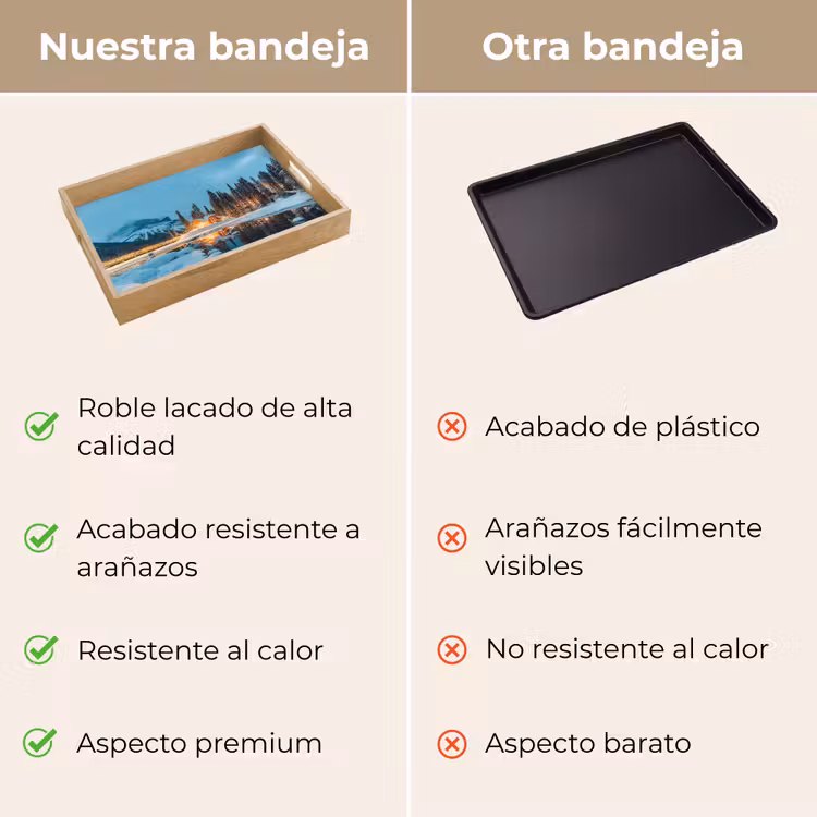 Bandeja - Paisaje invernal - Naturaleza - Casa - Montañas - Nieve — 9