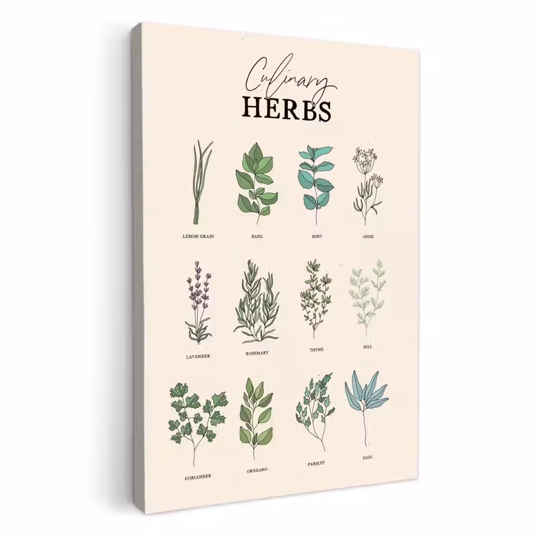 Lienzos decorativos - Plantas - Cocina - Hierbas — 1