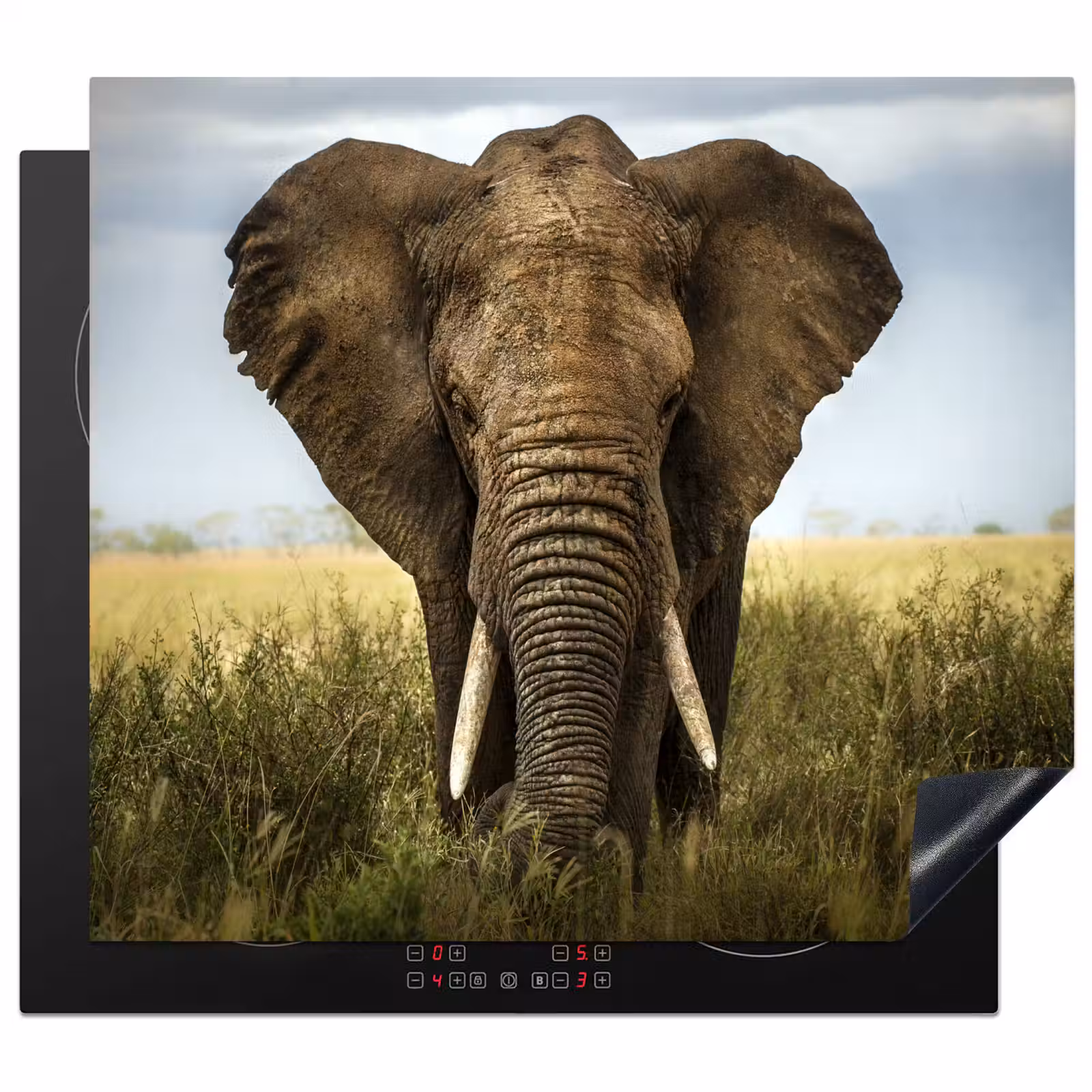 Protector de inducción - Gigante della Savana — 1