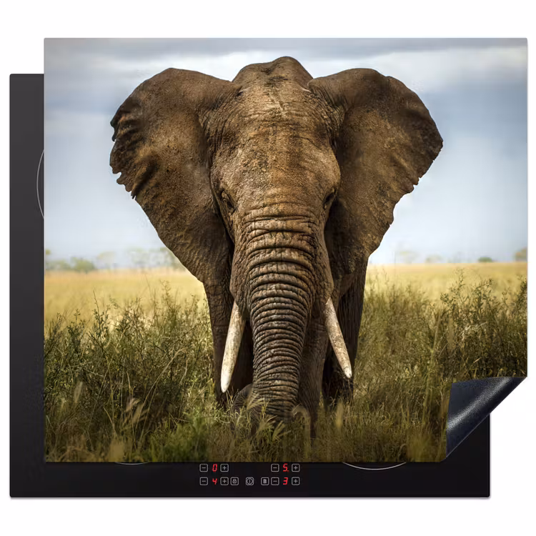 Protector de inducción - Gigante della Savana — 1