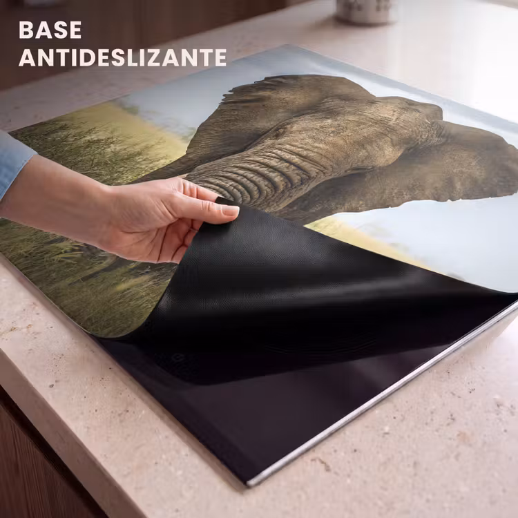 Protector de inducción - Gigante della Savana — 6