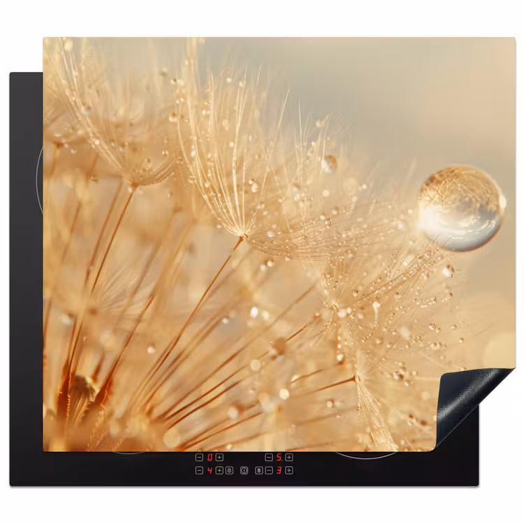 Protector de inducción - Dente di leone - Acqua - Natura - Piante - Moderno — 1