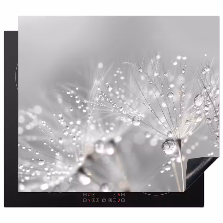 Protector de inducción - Dente di leone - Gocce d'acqua - Natura morta - Moderno — 1