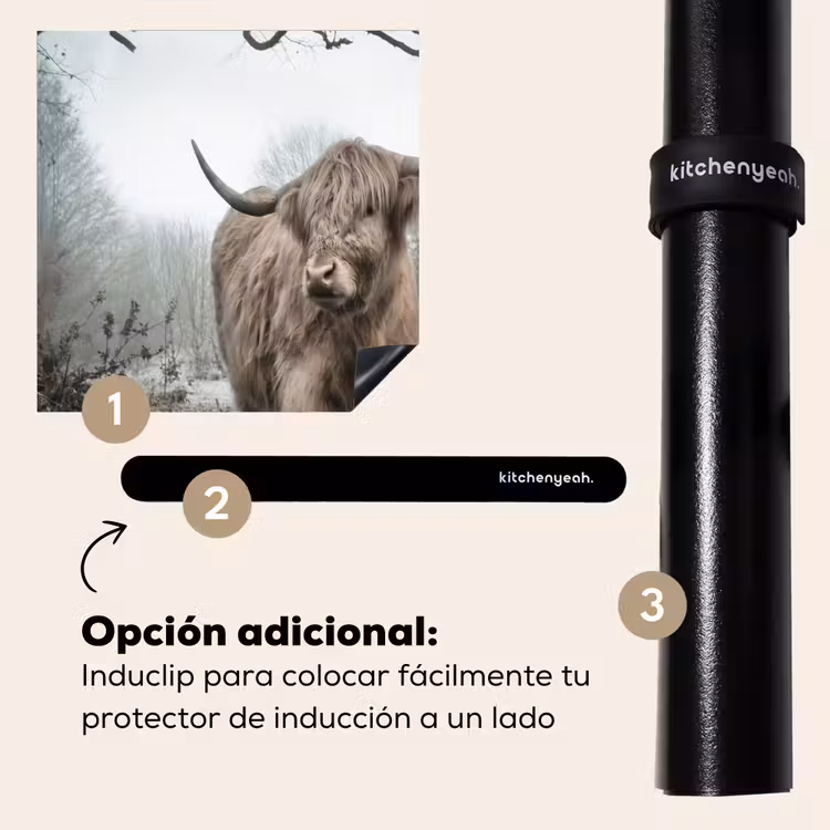 Protector de inducción - Dominatore della nebbia — 8