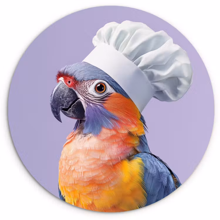 Cuadro redondo - Loro - Gorro de cocinero - Morado - Lindo — 1