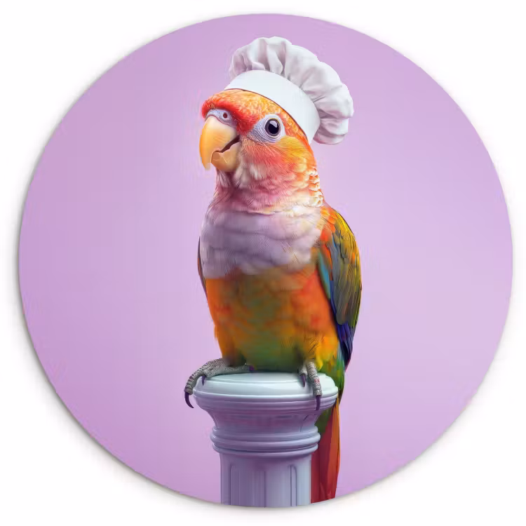 Cuadro redondo - Loro - Gorro de cocinero - Pilar - Pájaro — 1