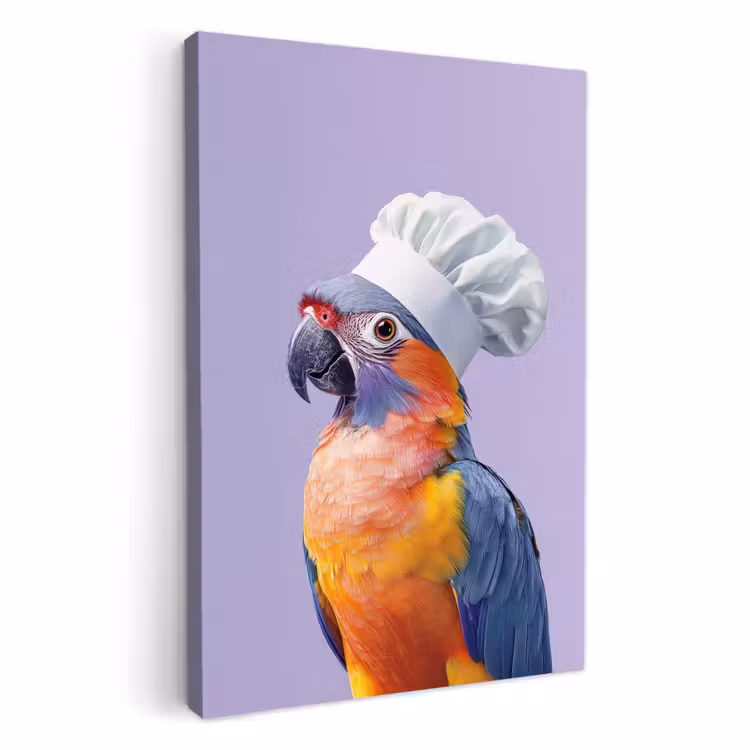 Lienzos decorativos - Loro - Gorro de cocinero - Morado - Lindo — 1