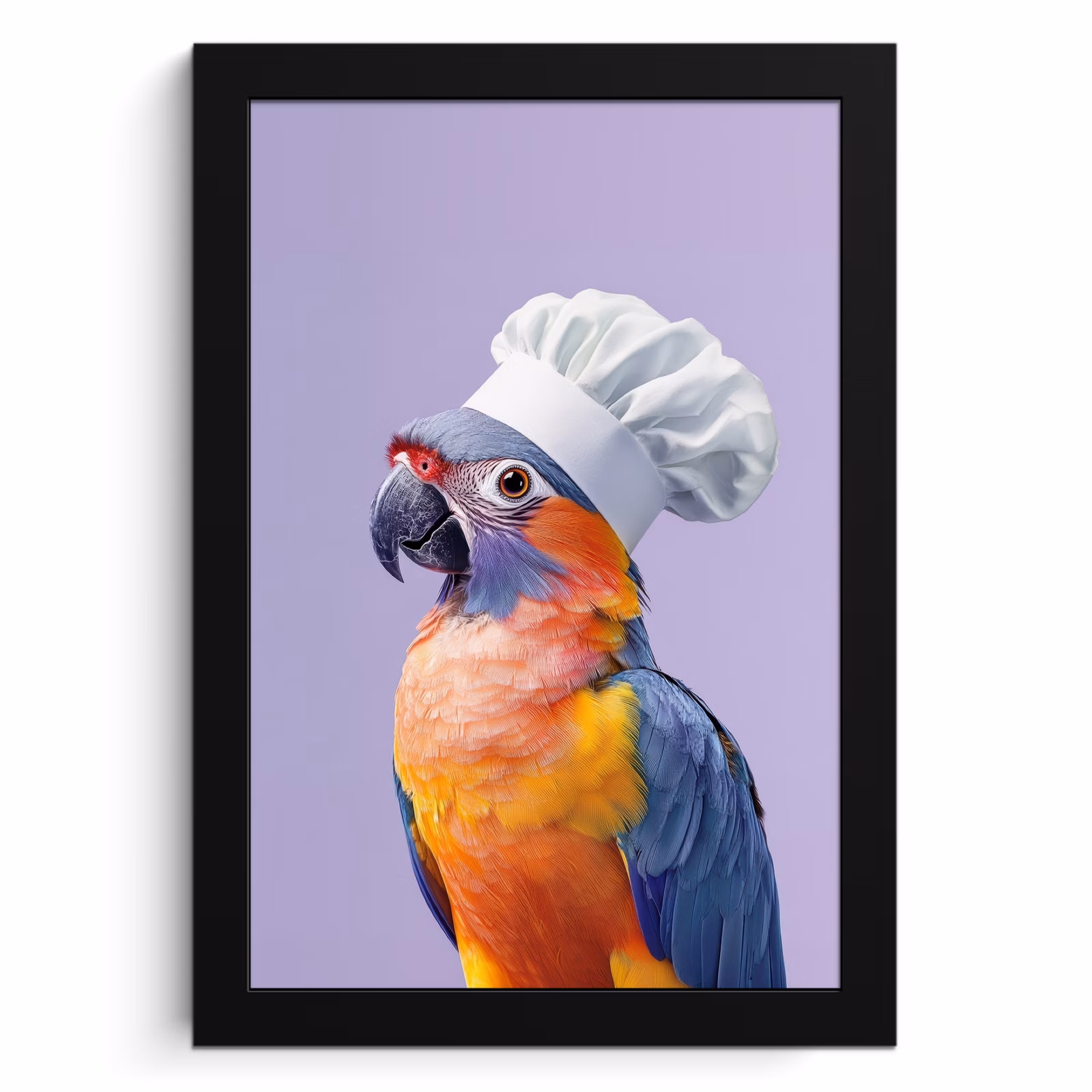 Cuadros enmarcados - Loro - Gorro de cocinero - Morado - Lindo — 1