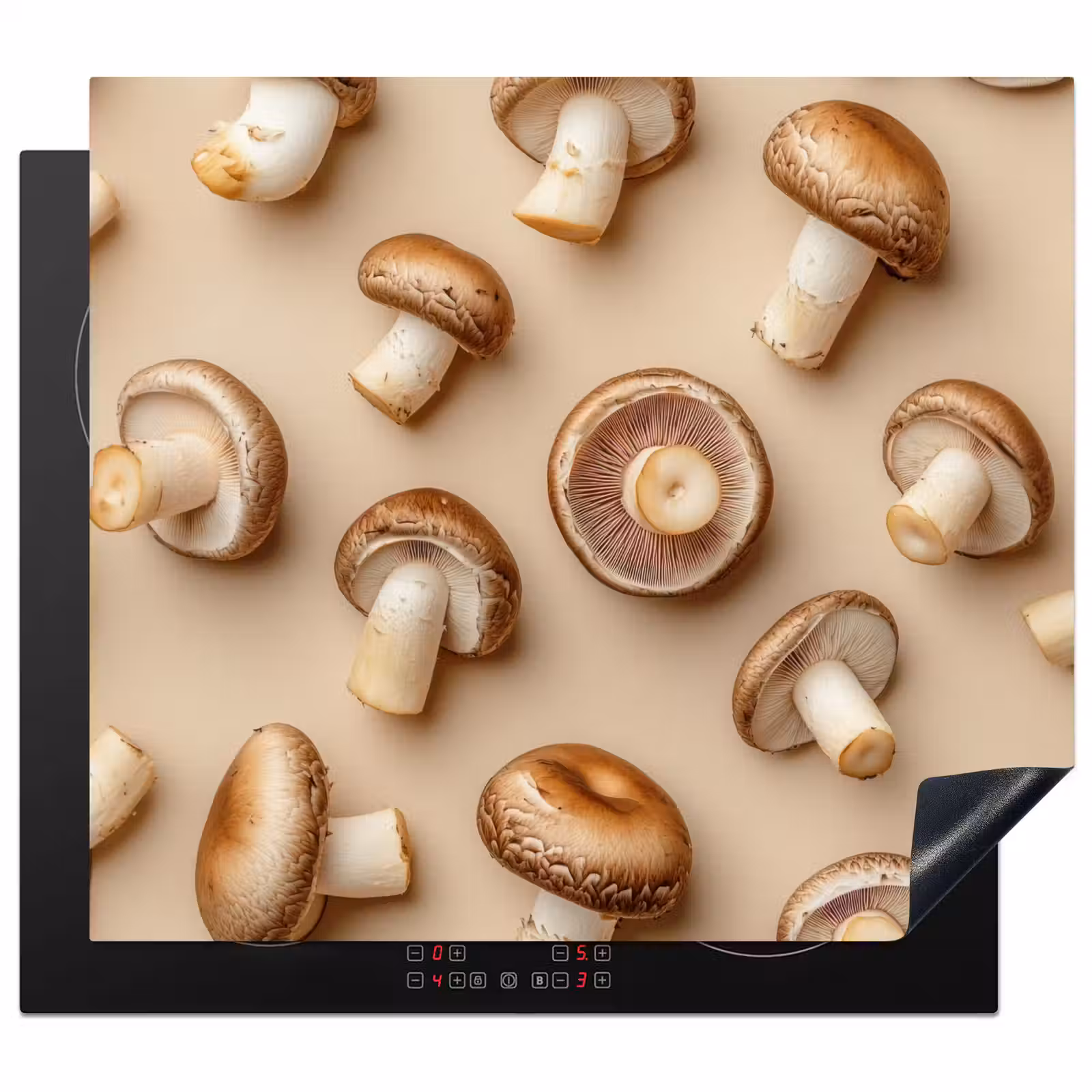 Protector de inducción - Funghi di castagno - Beige — 1
