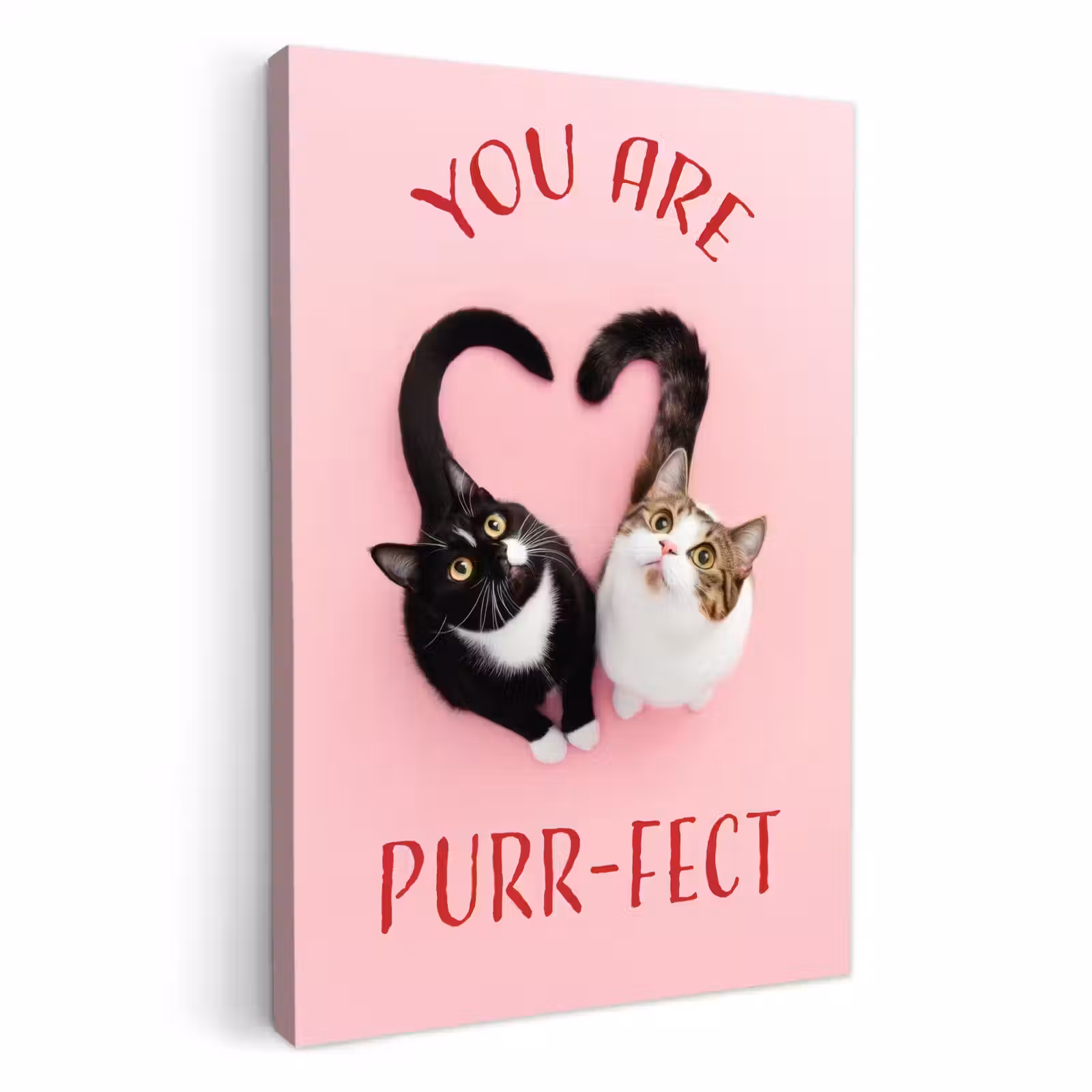Lienzos decorativos - Gato - Corazón - Texto - San Valentín — 1