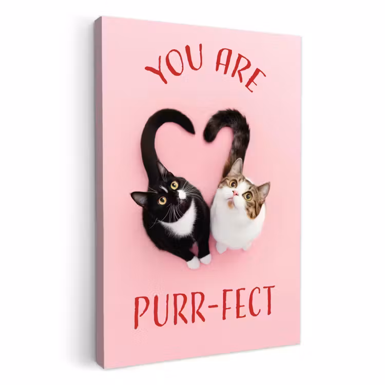 Lienzos decorativos - Gato - Corazón - Texto - San Valentín — 1
