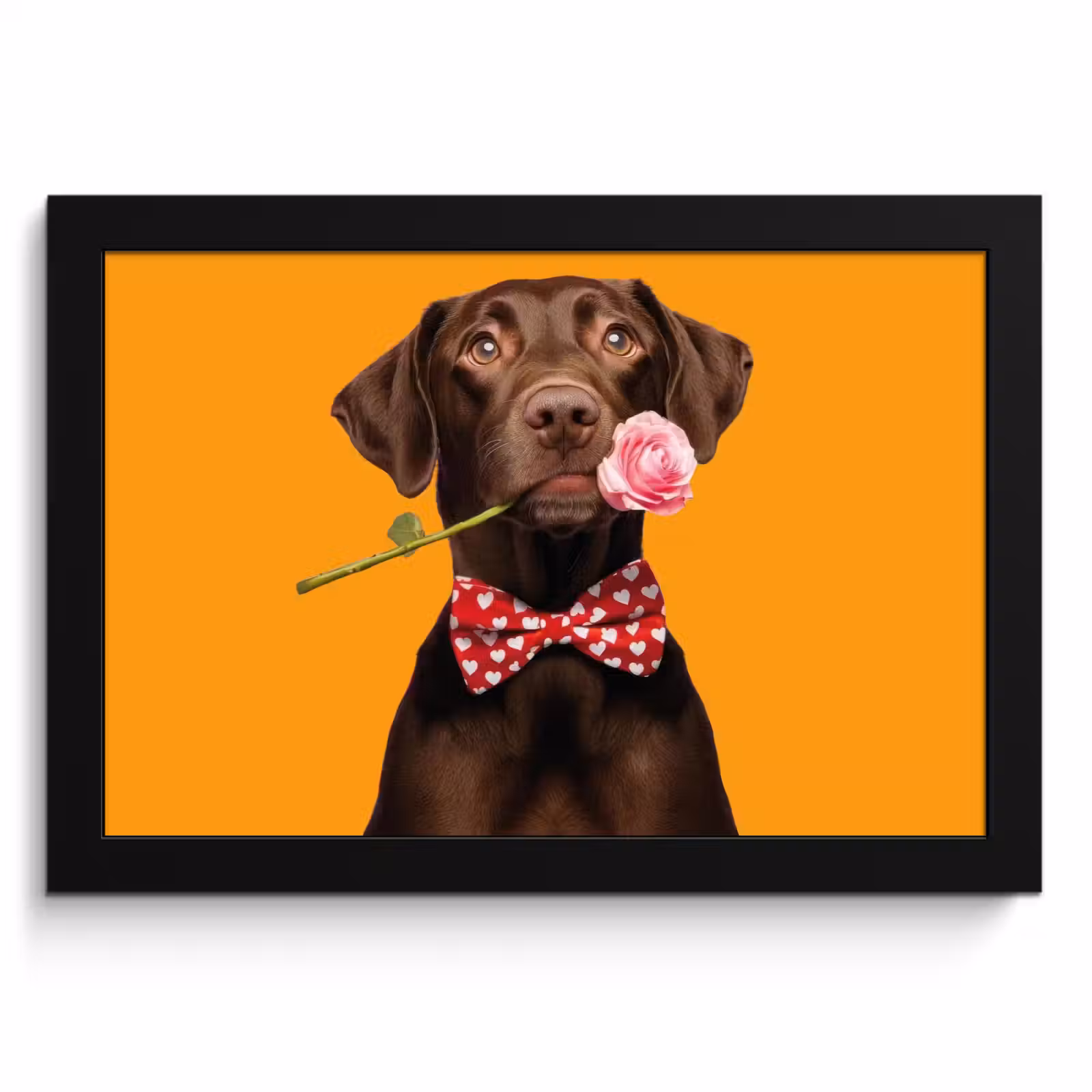 Cuadros enmarcados - Perro - Naranja - Rosa - San Valentín — 1