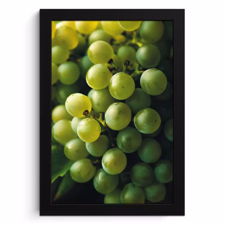 Cuadros enmarcados - Uvas - Racimo - Verde — 1